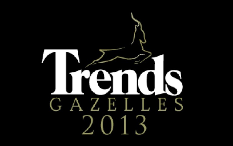 Trends-Digital-Gazelle-2013